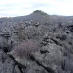 images/stories/Tour-nord-Madagascar/tsingy-gris-madagascar.jpg