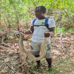 images/stories/lokobe-reserve/reserve_de_lokobe_excursion_nosy_be_parc_10.jpg