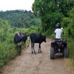 images/stories/quad/quad-nosybe-madagascar.jpg