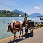 images/stories/tour-de-l-ile-nosy-be/tour_de_lles_nosy_be_excursion_sur_lles_2.jpg